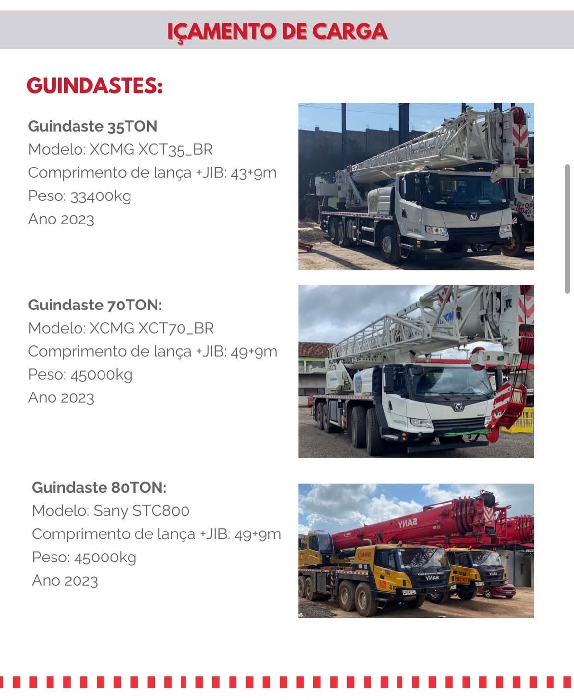 WhatsApp Image 2026-02-12 at 11.53.13